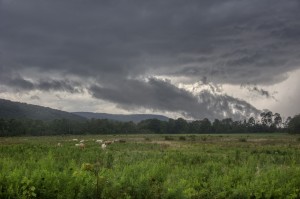Farm Storm